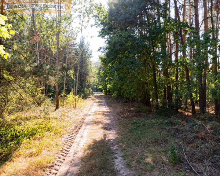 Działka Sprzedaż Jeruzal