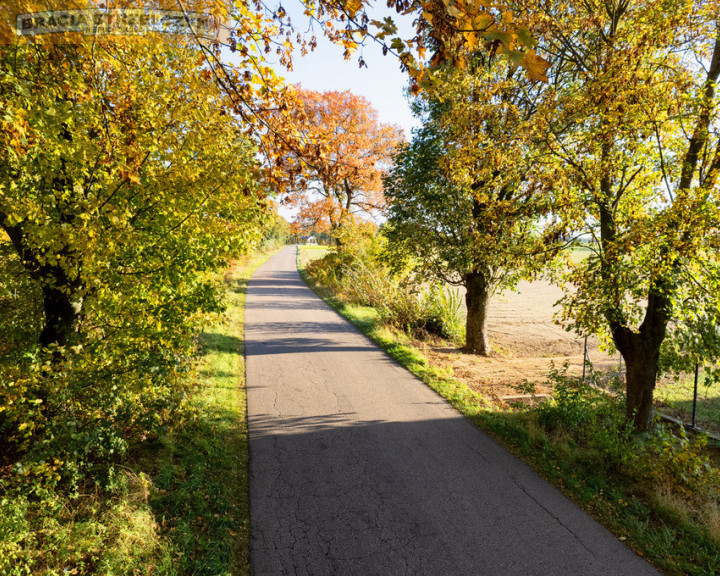 Działka Sprzedaż Winnica