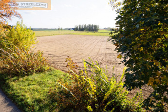 Działka Sprzedaż Winnica