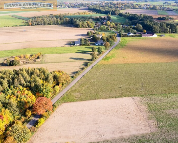 Działka Sprzedaż Winnica